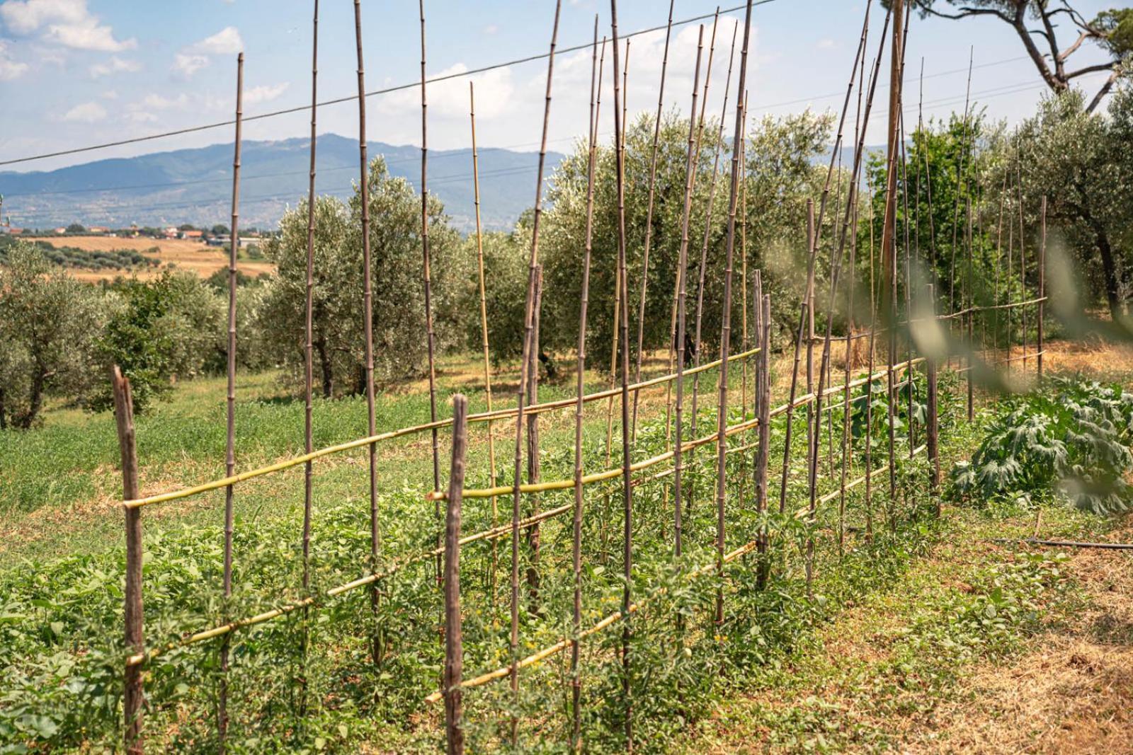 Il Querciolo - Azienda Biologica, Agriturismo E Cantina Marciano della Chiana Exterior photo